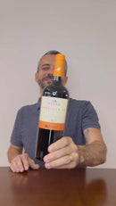 Vinho Tinto Paralelo 31 Gran Reserva 2022 750ml + Wine Skin